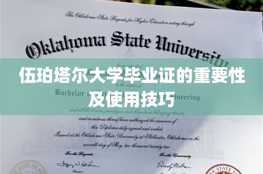 伍珀塔尔大学毕业证的重要性及使用技巧