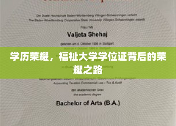 学位荣耀之旅，揭秘学府证书背后的辉煌历程