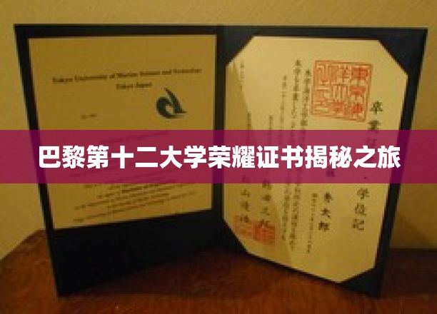 巴黎第十二大学荣耀证书揭秘之旅