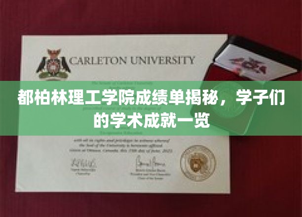 都柏林理工学院成绩单揭秘，学子们的学术成就一览