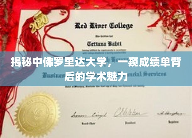 探寻中佛罗里达大学，揭开成绩单背后的学术风采