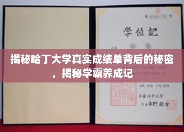 哈丁大学成绩单背后，揭秘学霸养成之路