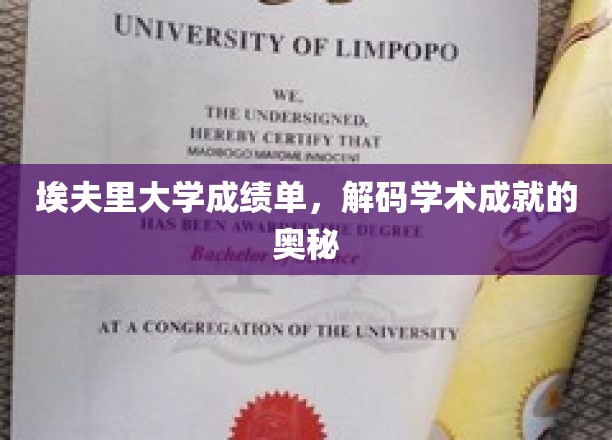 解锁埃夫里大学成绩单，揭秘学术卓越的密码