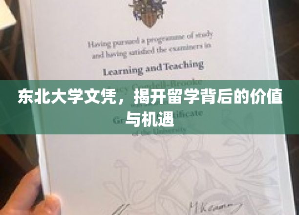 东北大学文凭，揭开留学背后的价值与机遇