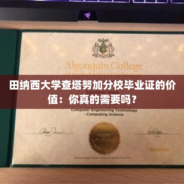 田纳西大学查塔努加分校毕业证的价值：你真的需要吗？