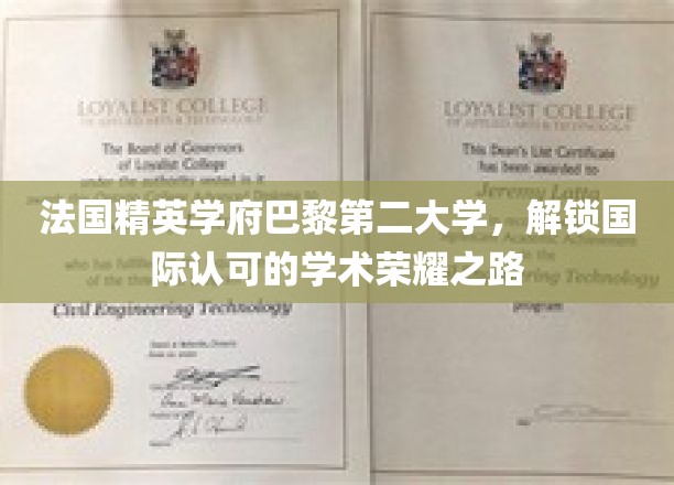 解码巴黎第二大学，国际认可的学术辉煌之旅