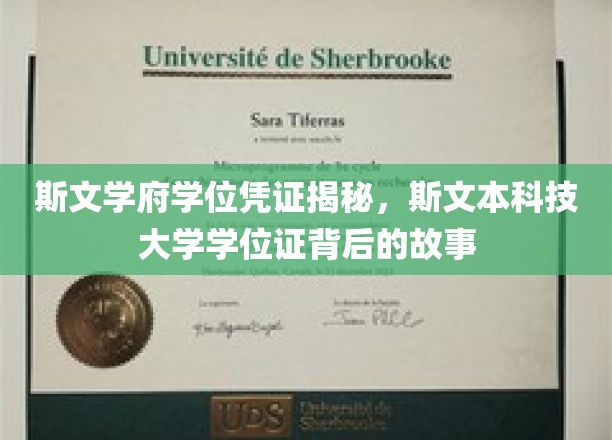 探寻斯文本科技大学学位证背后的传奇故事