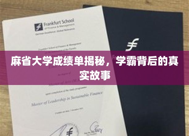 麻省大学成绩单揭秘，学霸背后的真实故事