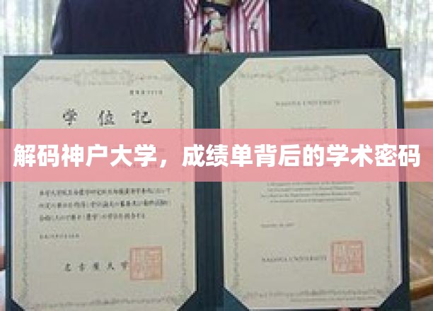解码神户大学，成绩单背后的学术密码