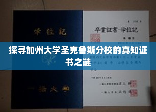 探寻加州大学圣克鲁斯分校的真知证书之谜