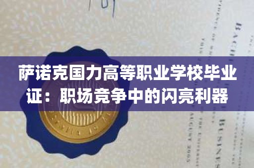 萨诺克国力高等职业学校毕业证：职场竞争中的闪亮利器