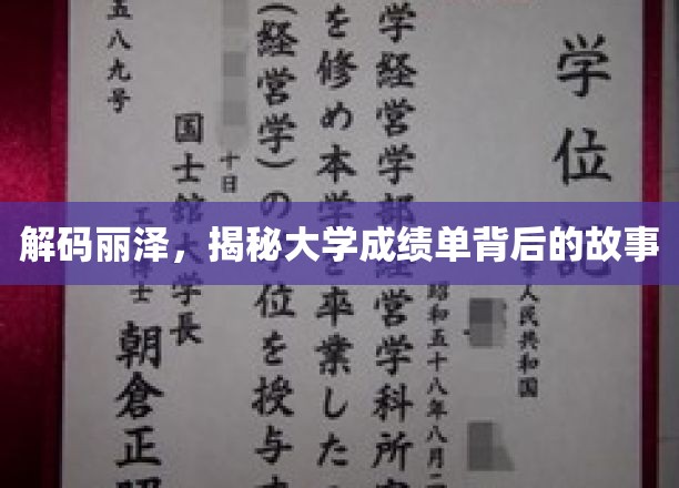 解码丽泽，揭示大学成绩单背后的故事