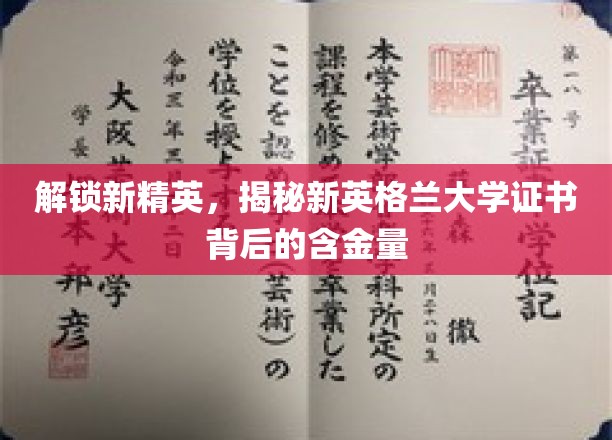 探索新精英摇篮，新英格兰大学证书的深层价值揭秘