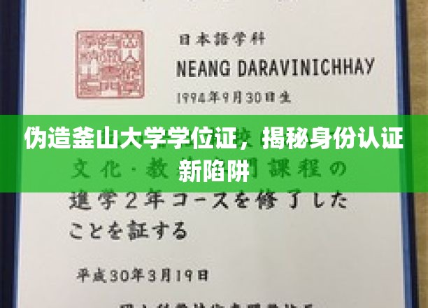 伪造学位证风波，釜山大学案例揭示身份认证危机与防范之道