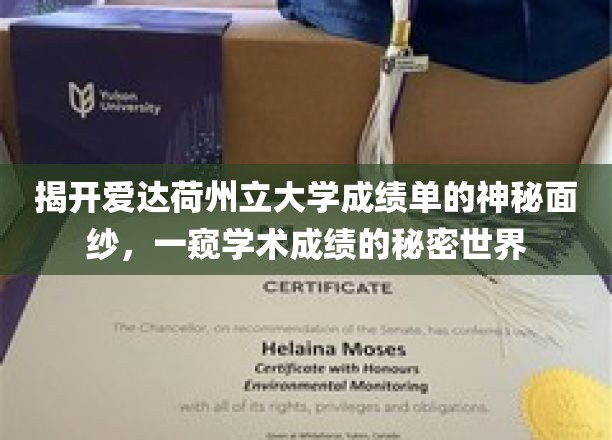 解码爱达荷大学成绩单，揭秘学术成就的神秘之门