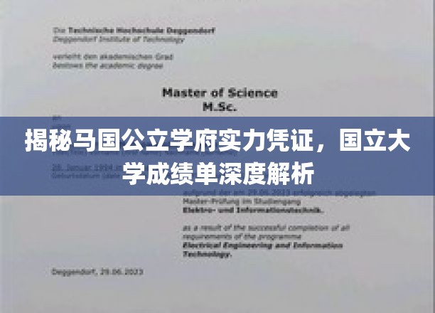 揭秘马国公立学府实力凭证，国立大学成绩单深度解析
