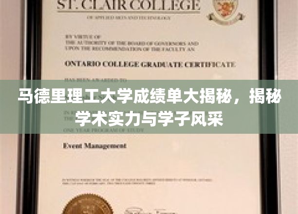 马德里理工学子风采大曝光，揭秘学术实力背后的精彩故事
