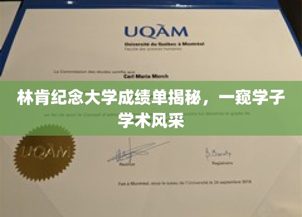 林肯学子风采大揭秘，林肯纪念大学成绩单背后的学术奥秘