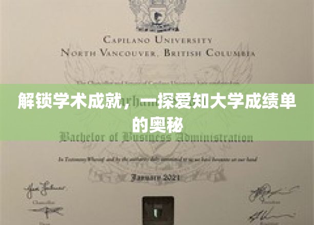 解锁学术成就，一探爱知大学成绩单的奥秘