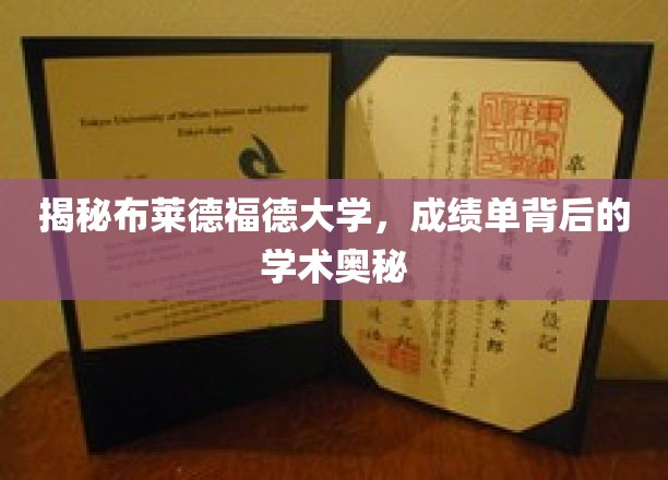 揭秘布莱德福德大学，成绩单背后的学术奥秘