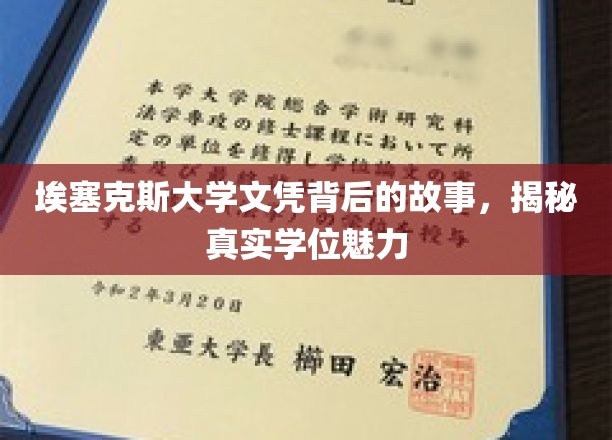 探寻埃塞克斯大学文凭的奥秘，揭秘学位背后的独特魅力