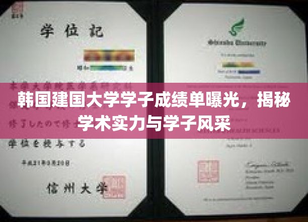 韩建学子风采录，一纸成绩单，映照学术实力与青春活力