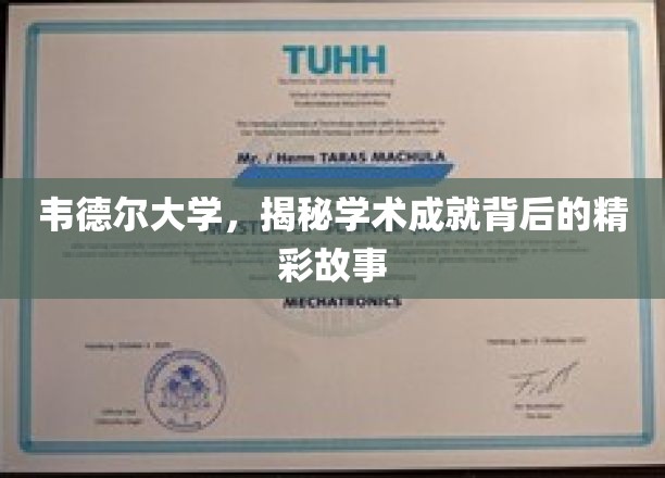 韦德尔大学的学术璀璨之谜，探寻成就背后的非凡篇章