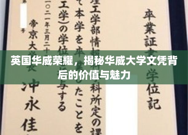 英国华威荣耀，揭秘华威大学文凭背后的价值与魅力
