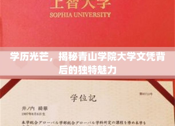 青山学院文凭之光，探索学历背后的非凡吸引力