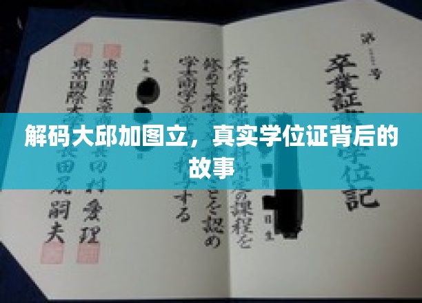 解码大邱加图立，揭示真实学位证背后的故事