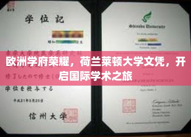 欧洲学府荣耀，荷兰莱顿大学文凭，开启国际学术之旅