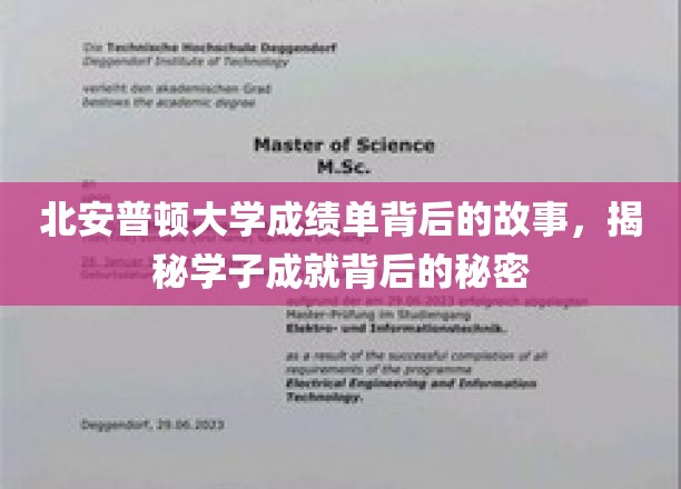 揭开北安普顿大学成绩单的神秘面纱，学子卓越背后的真实力量