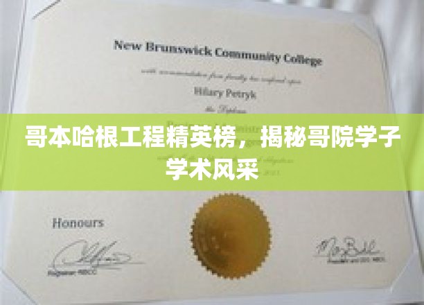 哥本哈根工程精英榜，展现DTU学子的学术风采