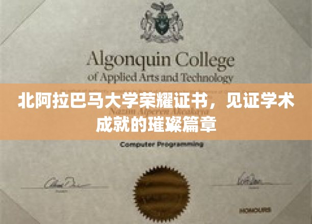 北阿拉巴马大学荣耀加冕，学术成就的星光证书故事