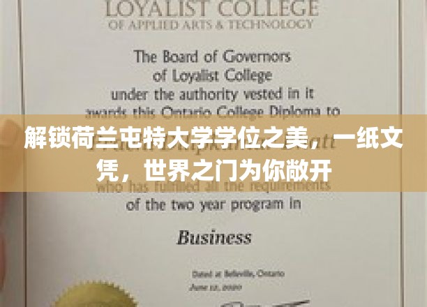 荷兰屯特荣耀学位，开启全球机遇的大门