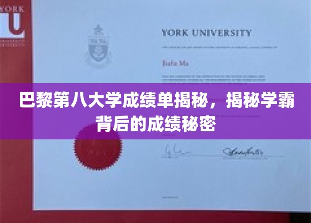 解码巴黎第八大学学霸高分秘诀，成绩单背后的惊人真相
