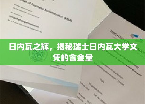 瑞士日内瓦大学文凭的璀璨价值，揭秘世界级学府的教育魅力