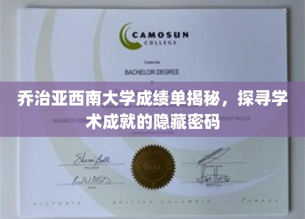 解码乔治亚西南大学，揭开成绩单背后的学术奥秘