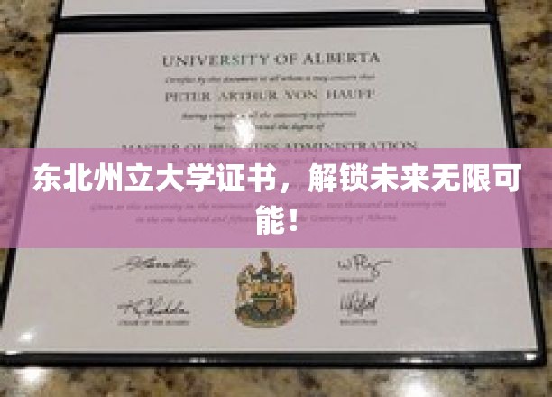 解锁东北州立大学荣耀，成就无限可能之路！