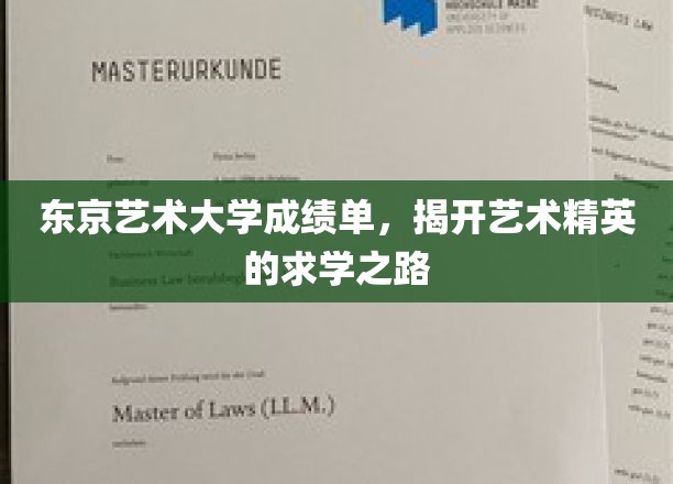 解码东京艺术精英，揭秘成绩单背后的求学传奇