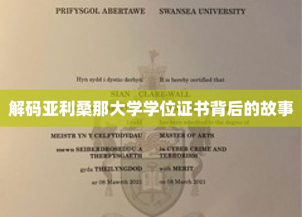 亚利桑那大学学位证书，探寻其背后的传奇历程