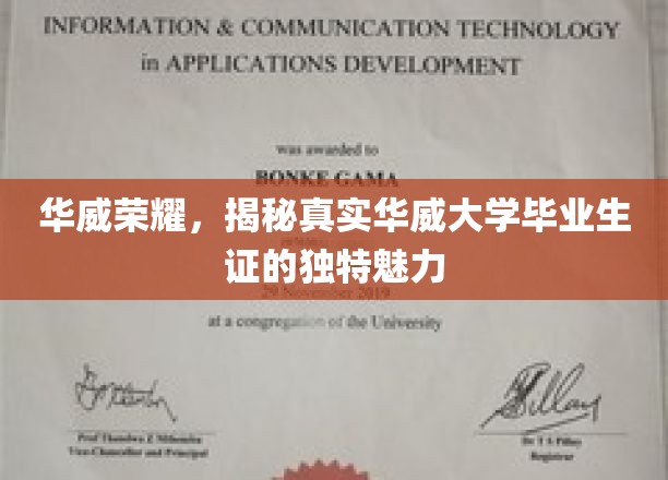 华威荣耀，揭秘真实华威大学毕业生证的独特魅力