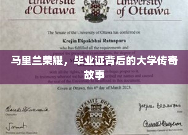 马里兰荣耀，揭开毕业证背后的神秘校园传奇