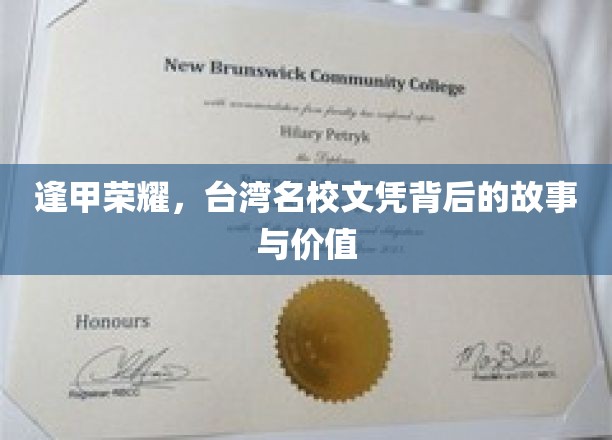 揭秘逢甲传奇，探寻台湾名校文凭背后的辉煌与价值
