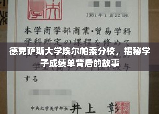 德克萨斯大学埃尔帕索分校，揭秘学子成绩单背后的故事
