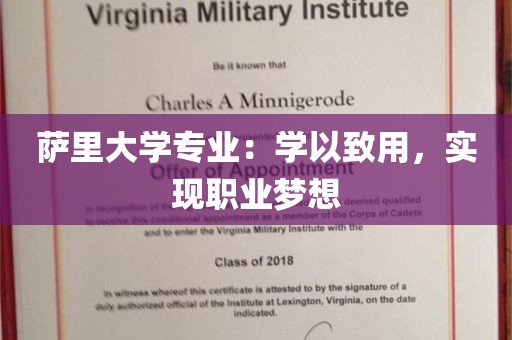 萨里大学专业：学以致用，实现职业梦想