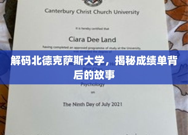 解锁北德克萨斯大学，成绩单里的秘密世界