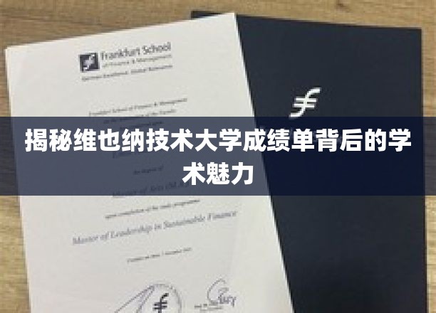 揭秘维也纳技术大学成绩单背后的学术魅力