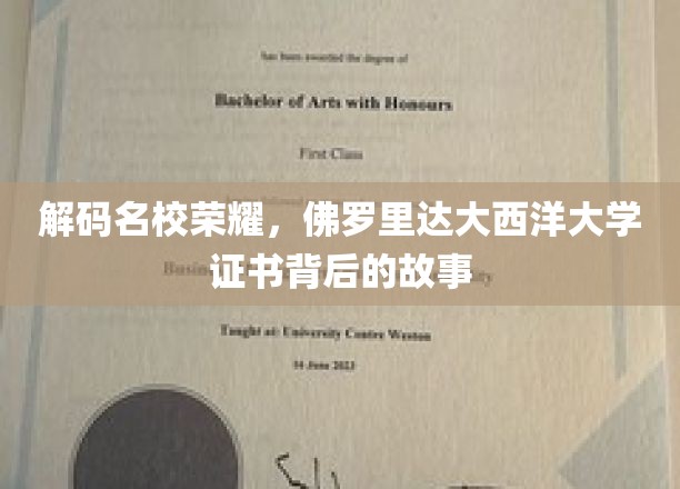 解码名校荣耀，佛罗里达大西洋大学证书背后的故事
