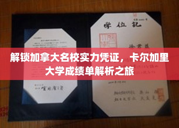 解锁加拿大名校实力凭证，卡尔加里大学成绩单解析之旅